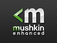 Immagine prodotto Mushkin DDR4 - 32 GB - 3200 - CL - 16 - Kit doppio, Redline (rosso, MRB4U320GJM16GX2) (2 x 16GB, 3200 MHz, DDR4-RAM, DIMM)