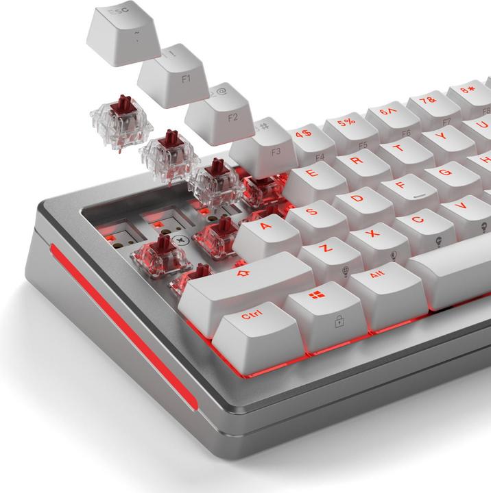 Produktbild Glorious Mechanical Switches (110pcs) - Fox - Heavy (Linear) 55g