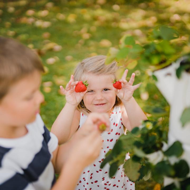 Actual product image Gusta Garden Sissi Strawberry (27 x 27 x 113 cm)