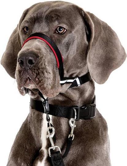 Immagine prodotto Company of Animals Halti Optifit Kopfgeschirr (S, Cane, Passeggiare)