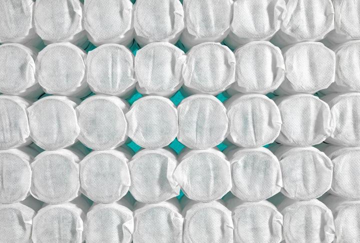 Image du produit Robusta Swiss Bedding Elastica (Noyau de printemps, 120 x 190 cm)