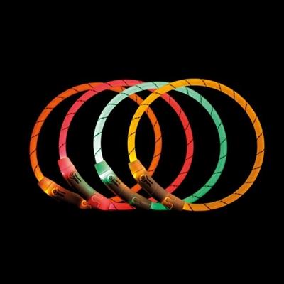 Thumbnail - Trixie Safer Life (L, XL, Hund, Spazieren), Halsband + Leine