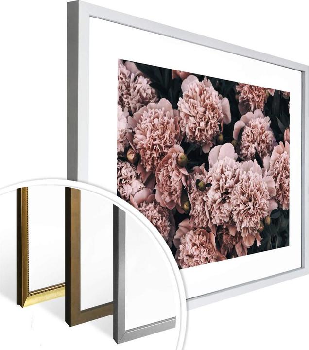 Immagine prodotto Trenddeko Peonie rosa (40 x 30 cm)