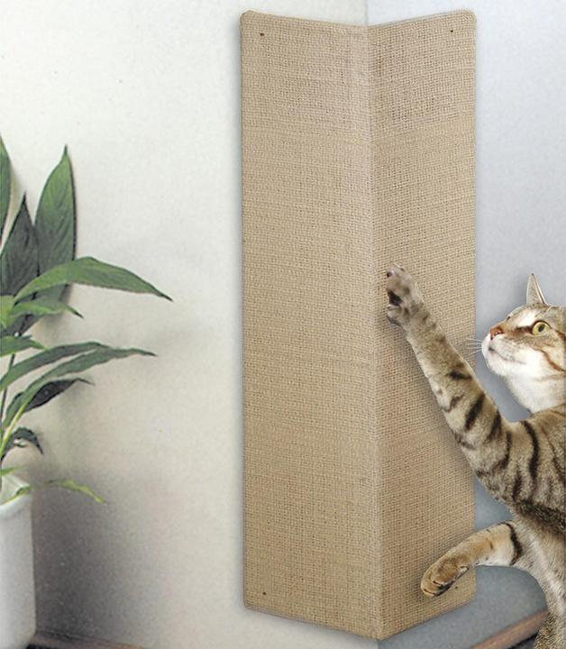 Image du produit EBI Planche à gratter d'angle (Beige)