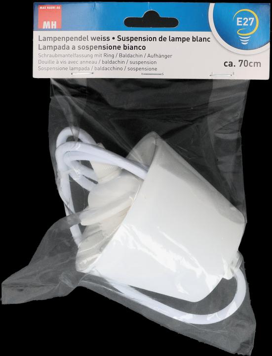 Actual product image Max Hauri Lamp pendant E27