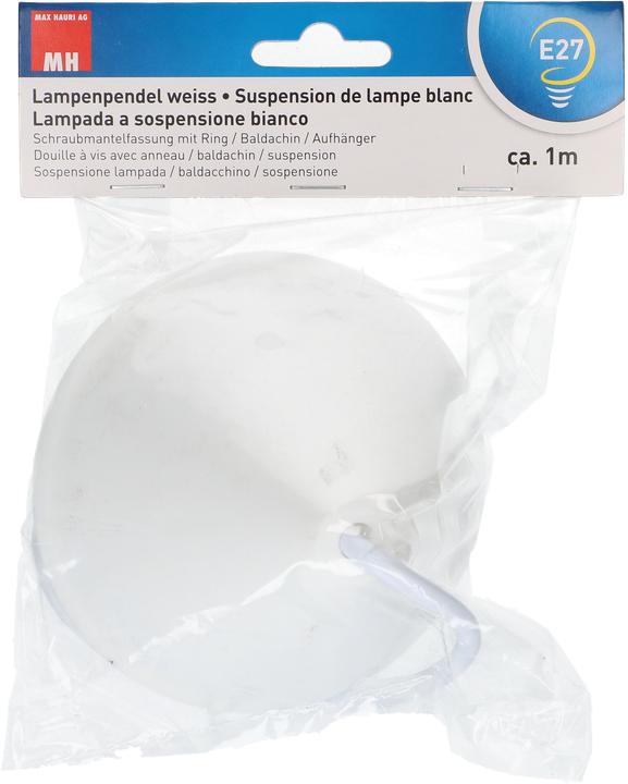 Immagine prodotto Max Hauri Lampenpendel E27