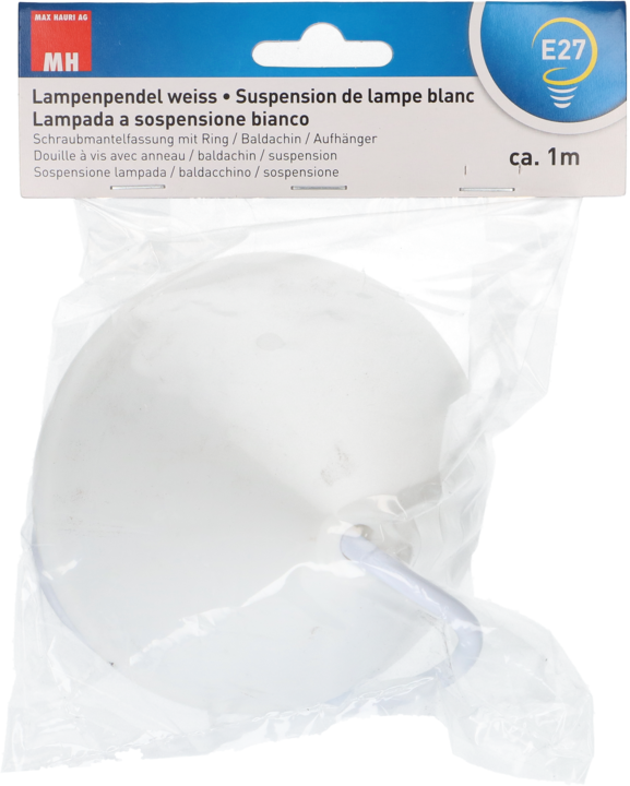 Produktbild Max Hauri Lampenpendel E27