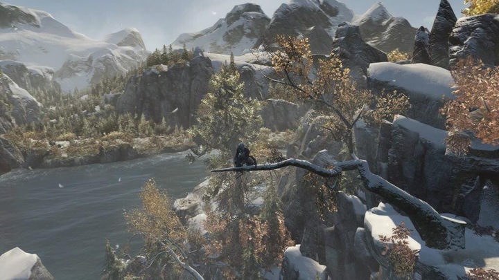 Image du produit Ubisoft Assassin's Creed : Rogue Remastered PS4 (PS4, EN)