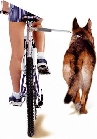 Productafbeelding Walky Dog Fiets vrijloopriem (Hond, Reflectoren)