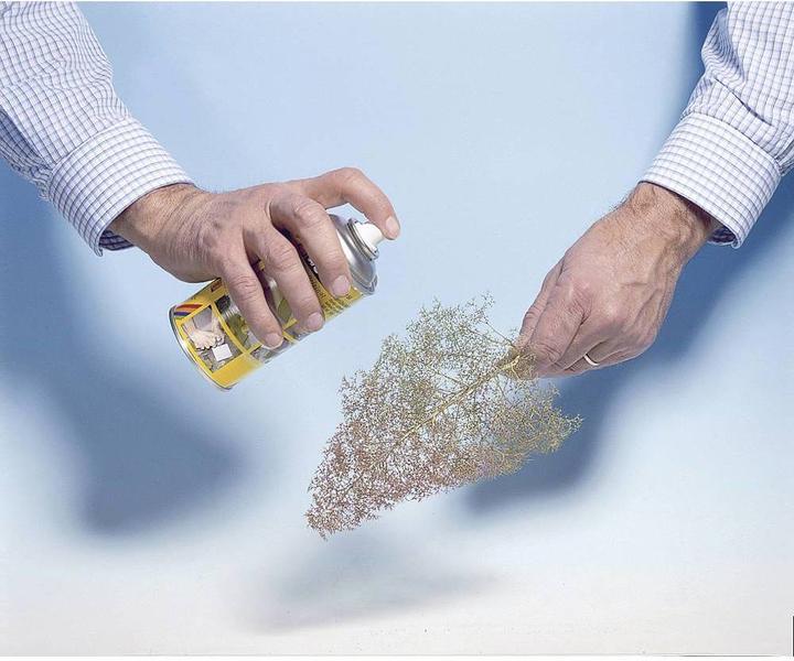 Image du produit Noch Ébauches d'arbres