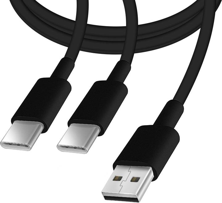Actual product image Avizar USB / 2x USB-C cable (3 m, USB 3.2 Gen 1)