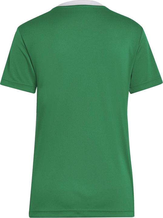 Immagine prodotto adidas Camicia da calcio Entrada 22 Donna (M)