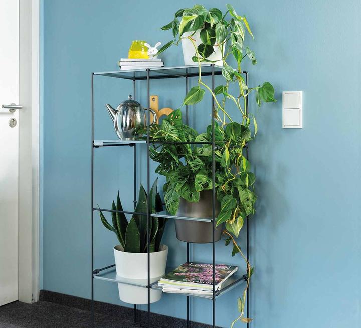 Produktbild Bellissa Filo