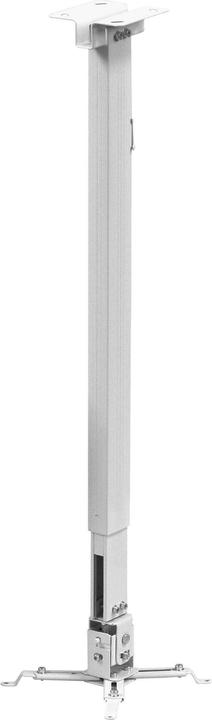 Reflecta Deckenhalterung Tapa (Decke)