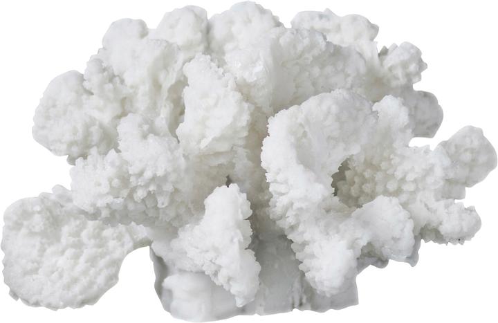 Mette Ditmer Coral (12 x 13 x 8 cm)