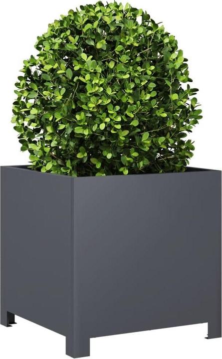 Produktbild vidaXL Pflanzkübel