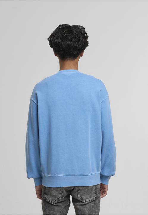 Image du produit Carhartt Sweat Nelson - 123743 (XS)