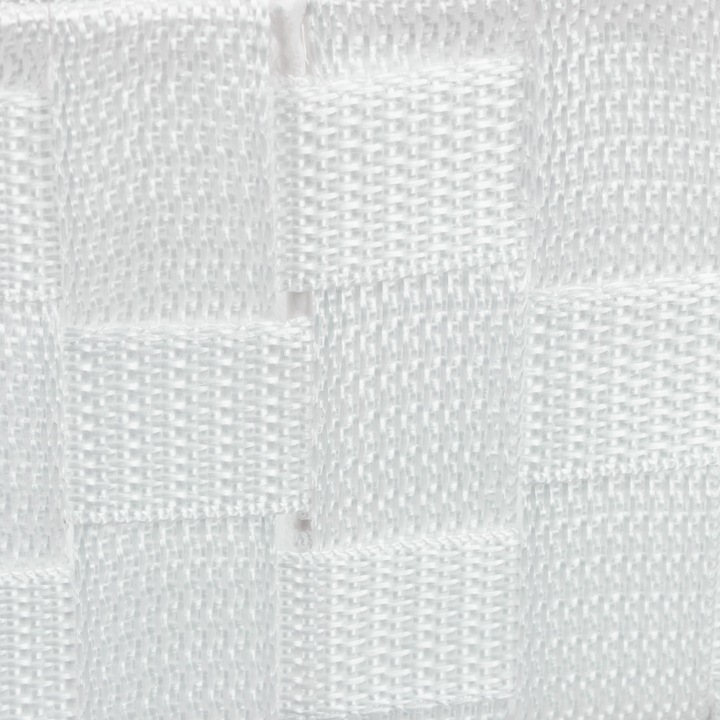 Immagine prodotto Relaxdays Contenitore, scomparti (1 x, 32 x 21 x 10 cm)