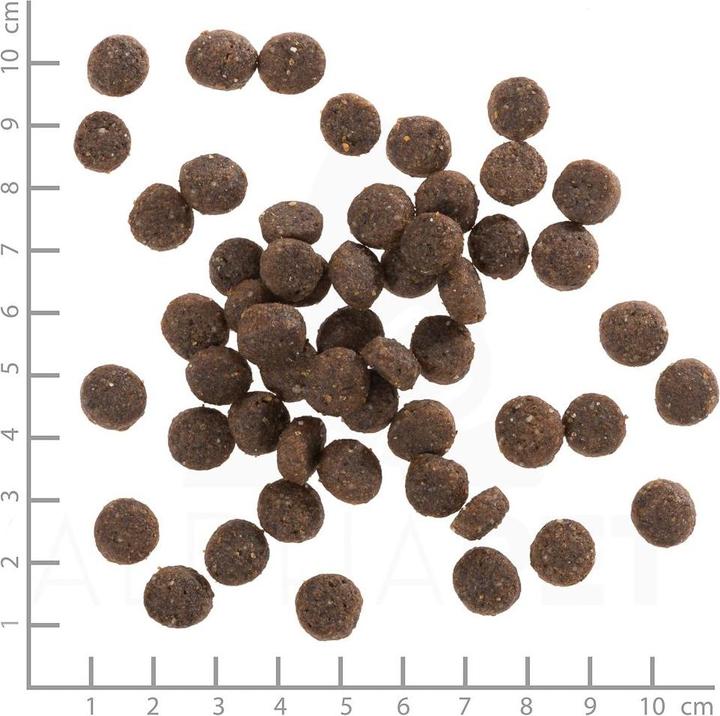 Produktbild Wolfsblut Range Lamb (Junior, Welpe + Kitten, 1 Stk., 12500 g)