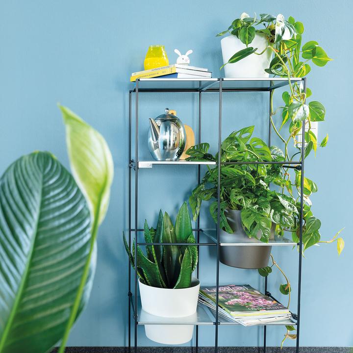 Produktbild Bellissa Filo