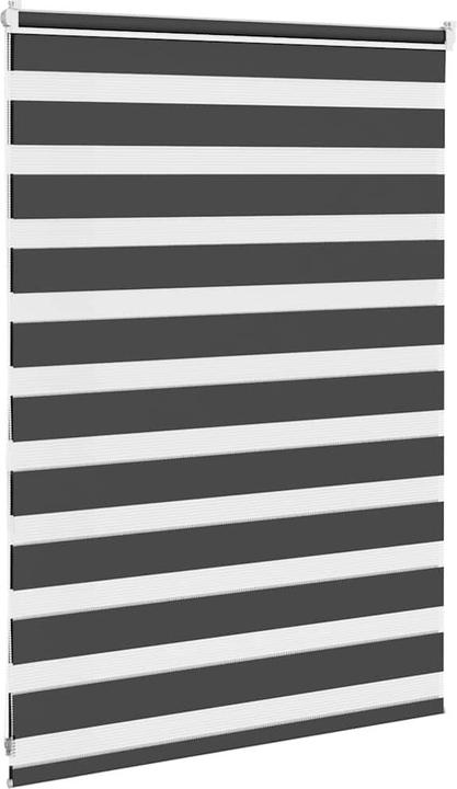 Produktbild vidaXL Zebra-Jalousie (95 x 100 cm)