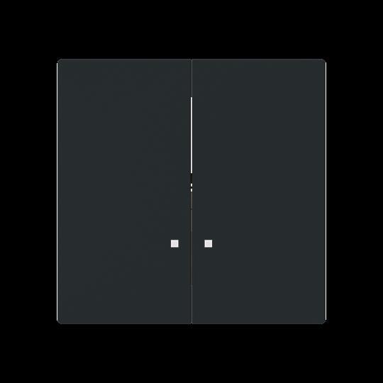 Busch-Jaeger, Zubehör Schalterprogramm, Zentralscheibe