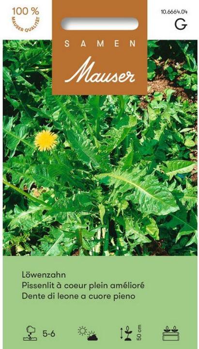 Produktbild Samen Mauser Löwenzahn (Gemüsesamen)