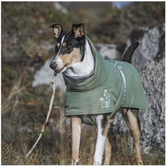 Image du produit Hurtta Manteau d'hiver Extreme Warmer wine red, 55 (M, Manteau pour chien)