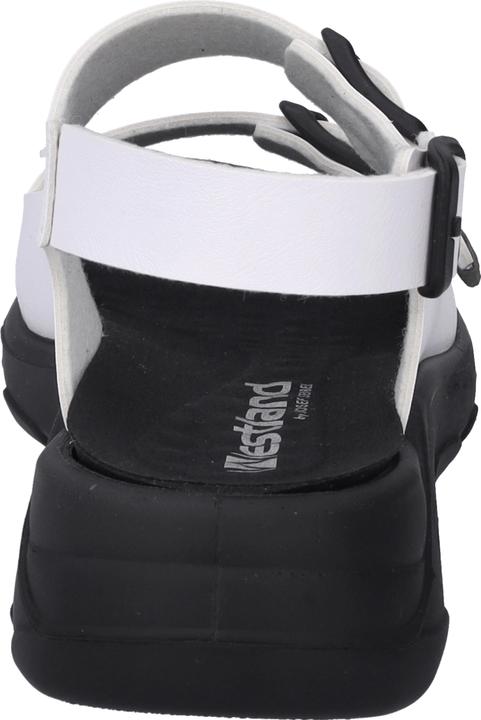 Produktbild Westland 19806-481 (37)