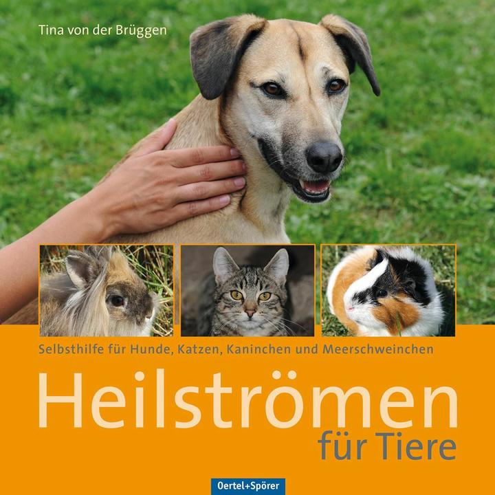 Produktbild Heilströmen für Tiere (Deutsch, Tina von der Brüggen, 2014)