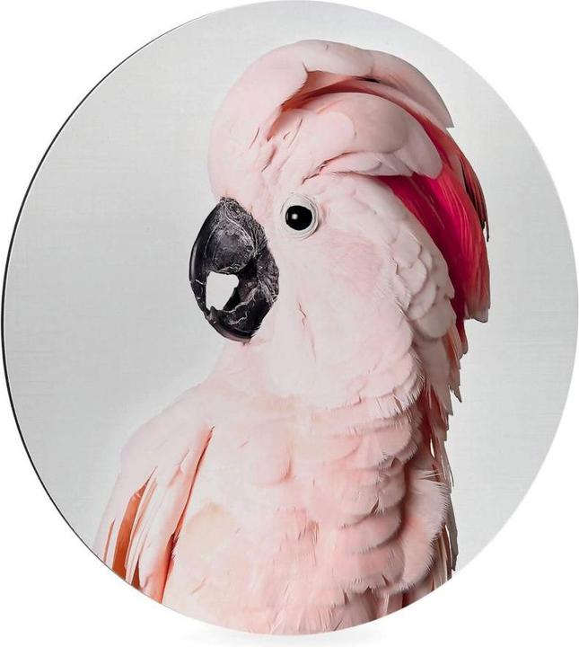 Actual product image Trenddeko Pink cockatoo (Ø 30 cm)