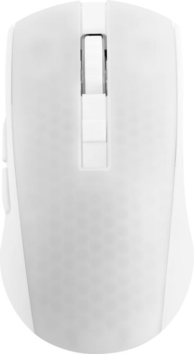 Immagine prodotto Deltaco Gaming DM320 / WM89 (Senza fili, Cablato)