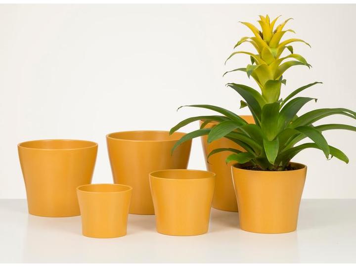 Immagine prodotto Scheurich Vaso da fiori giallo Ø 19 cm (24.50 cm)