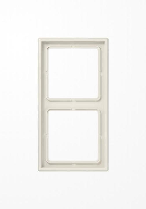 Actual product image JUNG Frame