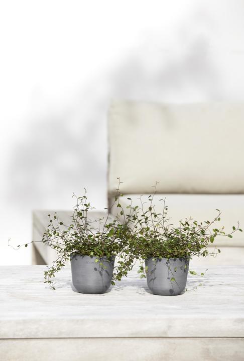 Immagine prodotto Ecopots Oslo Mini (16 cm)