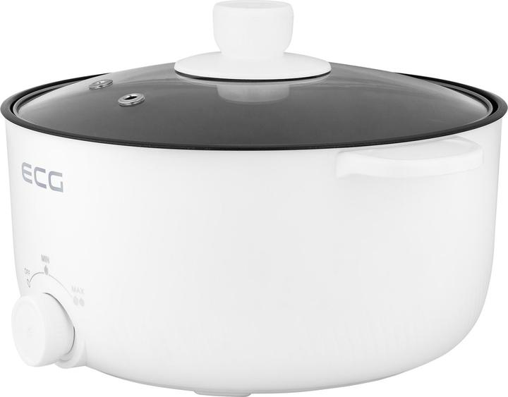 Actual product image ECG EH 1886 Double Electric pot, 3 litres