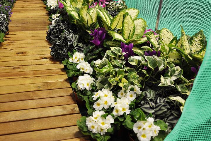 Immagine prodotto FunFit Serra ad arco verde con bocchette 200x300-6m2 (Verde)