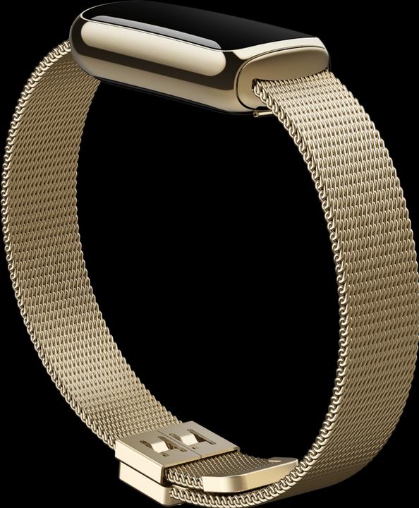 Produktbild Fitbit Luxe Edelstahl Armband (Edelstahl, One Size)
