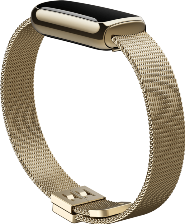 Actual product image Fitbit Luxe stainless steel bracelet (Stainless steel, One size)