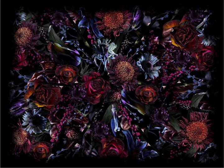 Moooi Fool's Paradise carpet