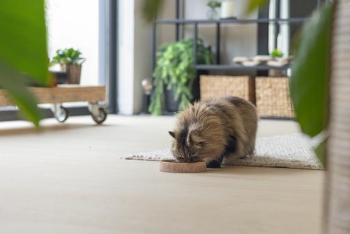 Image du produit Designed by Lotte Jace (0.35 l)