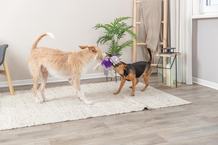 Produktbild Trixie Hunde-Spielzeug Monster, 32 cm, Lila (Plüschspielzeug Hund)