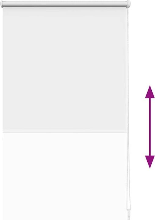 Actual product image vidaXL Verdunkelungsrollos (60 x 120 cm)