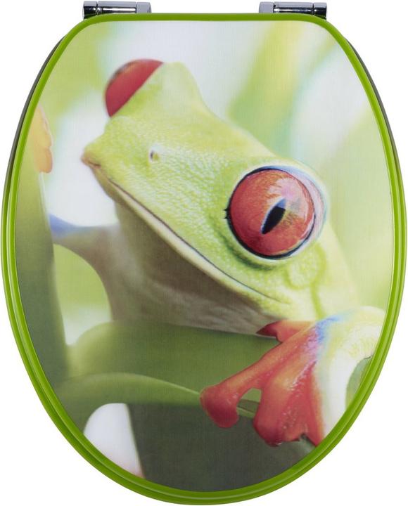 Actual product image Diaqua Frog