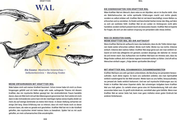 Produktbild Praxisbuch Schamanische Krafttiere – Entdecke deine Seelenbegleiter (Deutsch, Benjamin Maier, 2022)