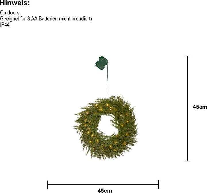Produktbild Star Trading Thuja