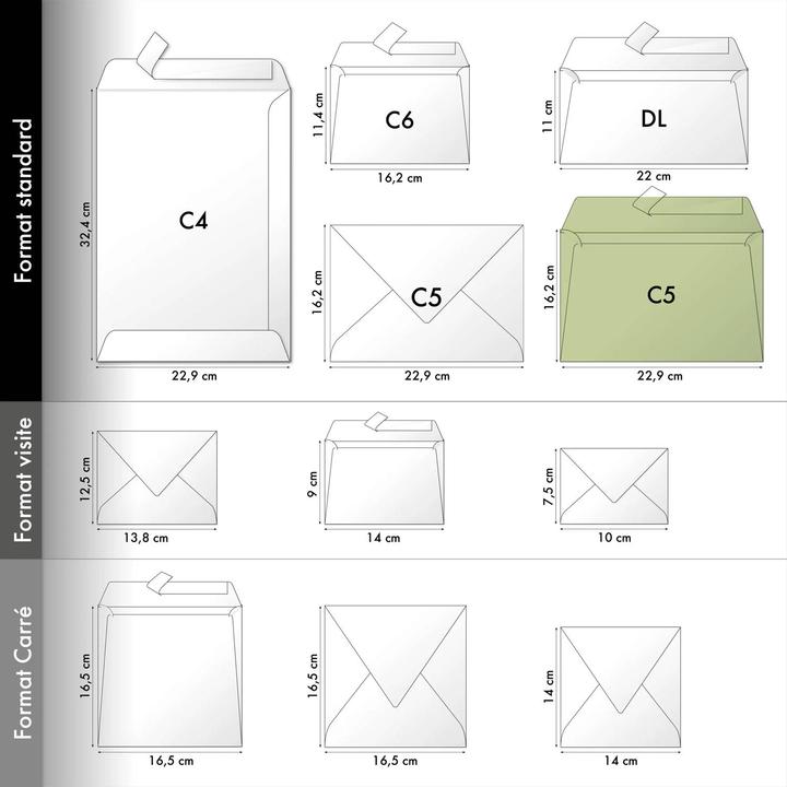 Pollen, Karton mit 200 Briefumschlägen haftklebend C5 162x229mm, 120g - Kartonbraun