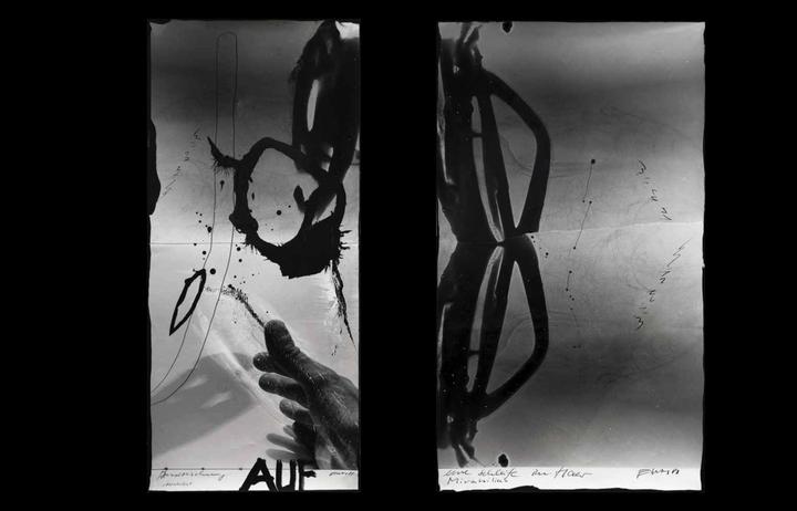 Actual product image Zweite Haut (German, Alfred Weidinger / OÖ LandesKultur, Isolde Perndl / Upper Austrian Provincial Culture, 2024)