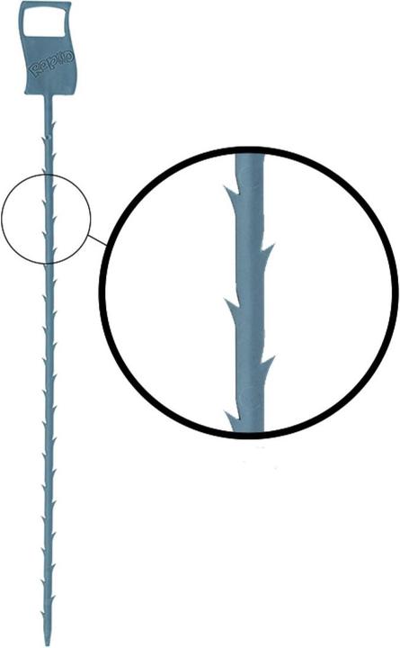 Actual product image