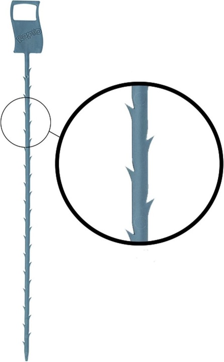 Actual product image Diaqua Rapid (2 pcs.)